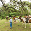 Celebrating Diversity in West Central Texas: Embracing Differences and Building Community