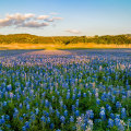 Exploring the Unique Celebrations of Seasons in West Central Texas