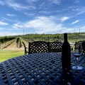 Eco-Friendly Celebrations in West Central Texas: Making Special Occasions Sustainable