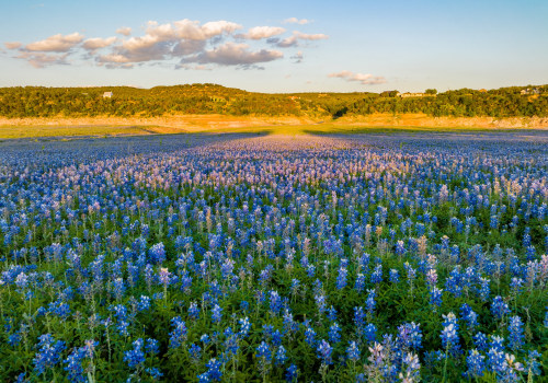 Exploring the Unique Celebrations of Seasons in West Central Texas