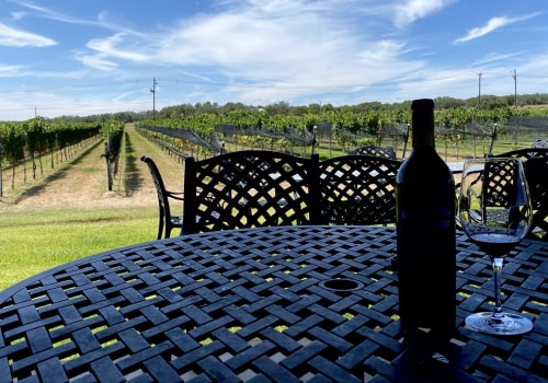 Eco-Friendly Celebrations in West Central Texas: Making Special Occasions Sustainable